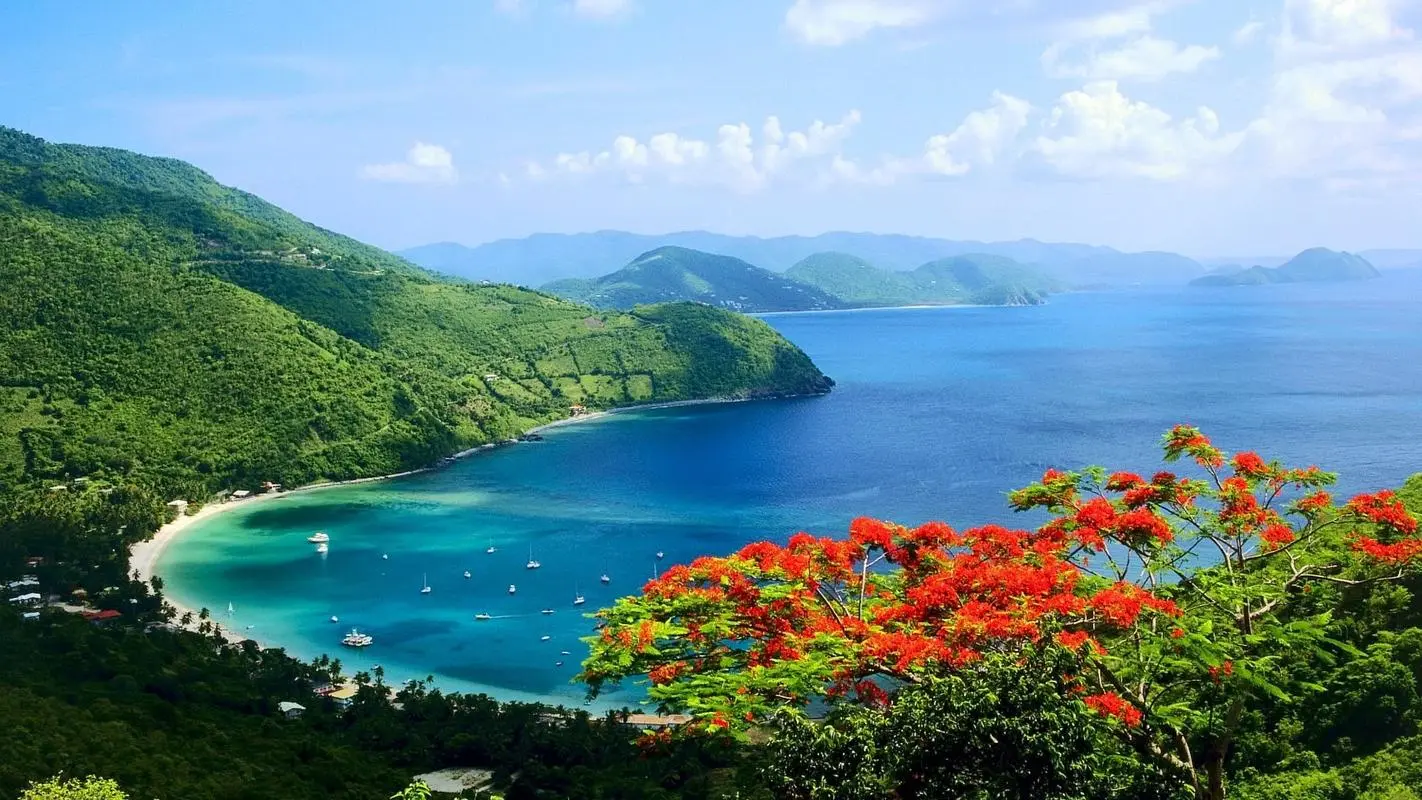 节能科技全自动